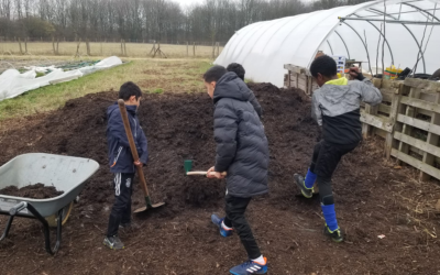 4ième chantier du jardin pédagogique