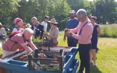 Inauguration du jardin pédagogique de la ferme du Sausset